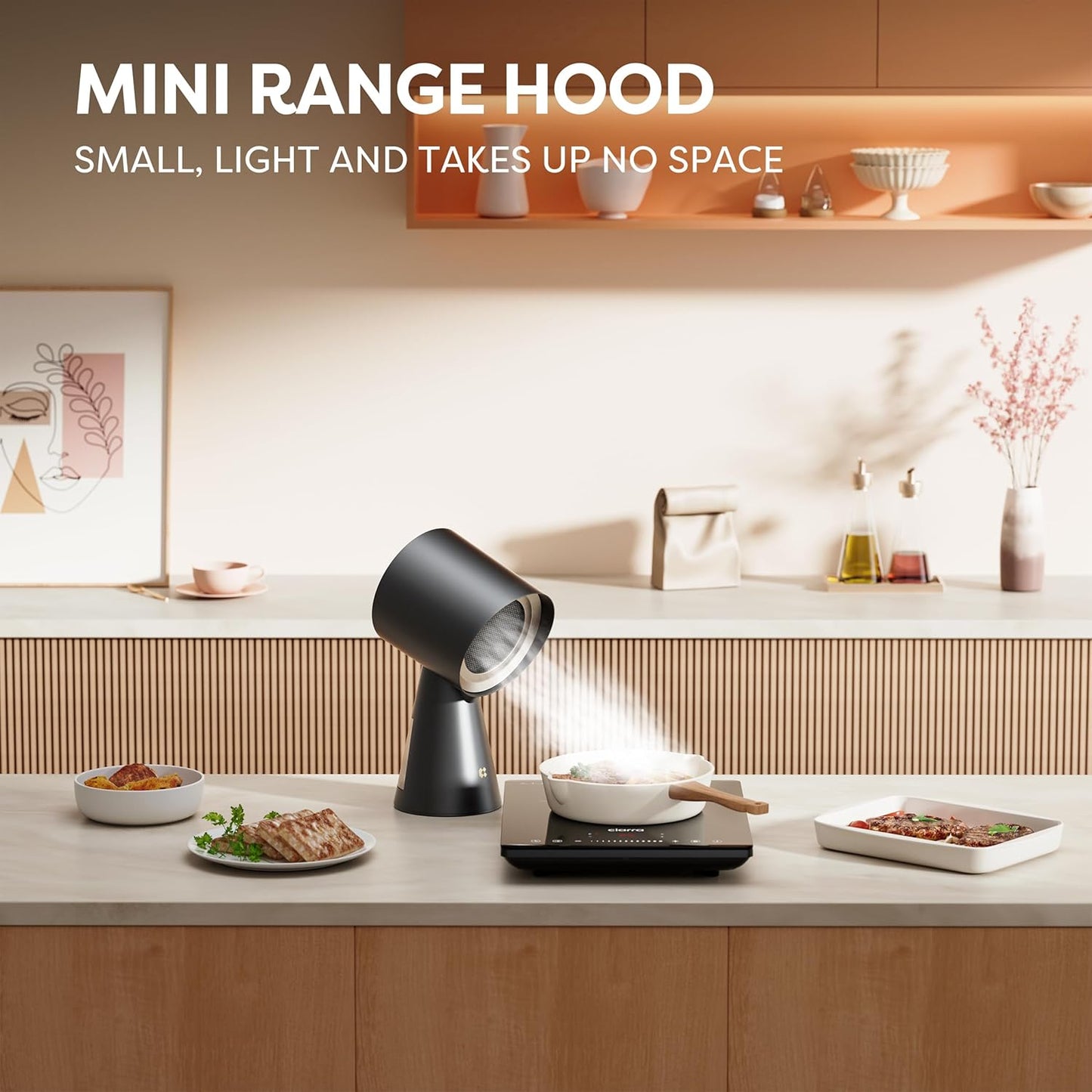 Portable Range Hood